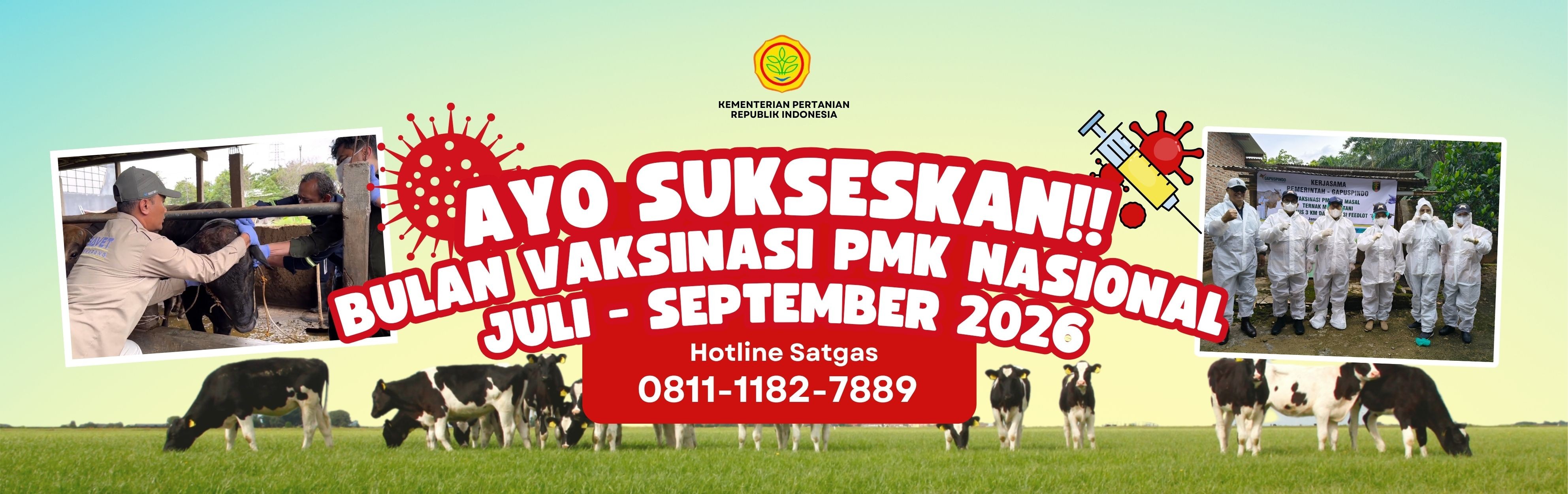 Ayo Sukseskan Bulan Vaksinasi PMK Nasional Juli - September 2026
