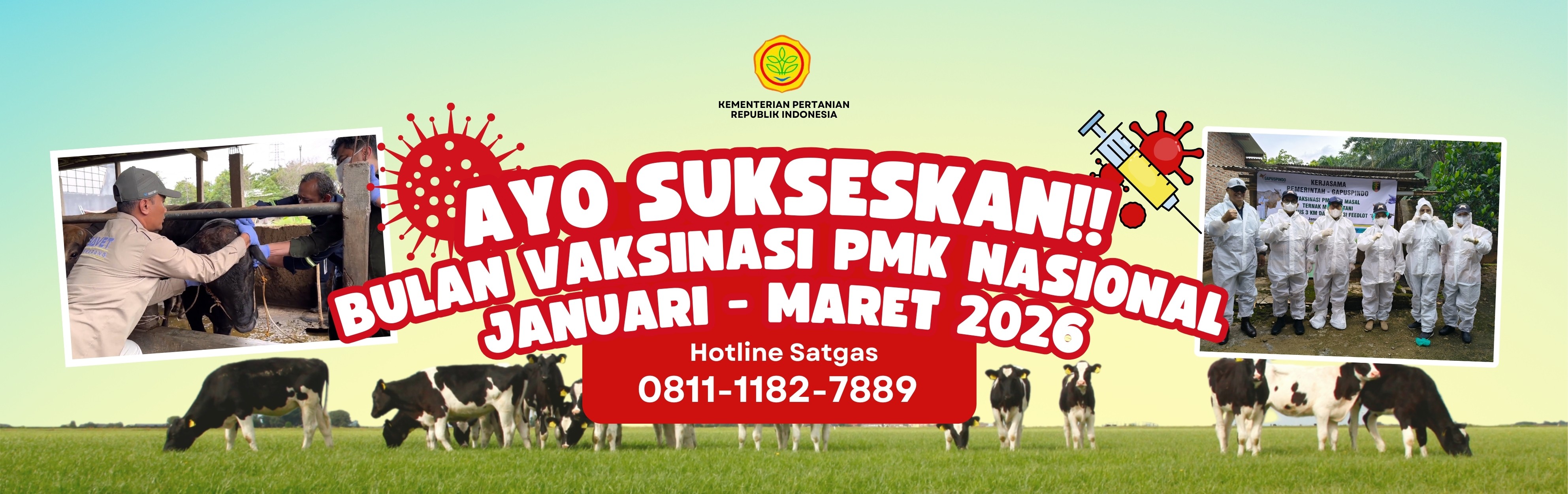 AYO SUKSESKAN   BULAN VAKSINASI PMK NASIONAL JANUARI - MARET 2026