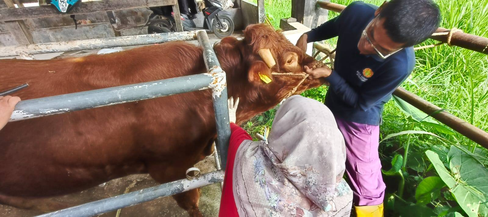 Tingkatkan Kompetensi Petugas, Kementan Perkuat Perlindungn Peternak dari Ancaman Penyakit Hewan