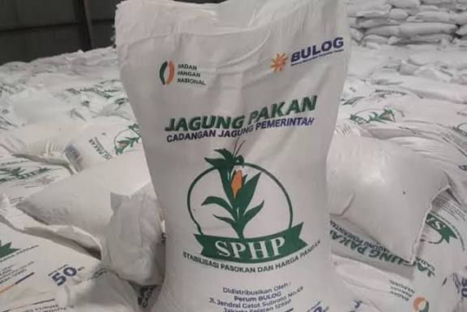Kementan Kawal SPHP Jagung bagi Peternak, Penyaluran Telah Mencapai 127 Ribu Ton