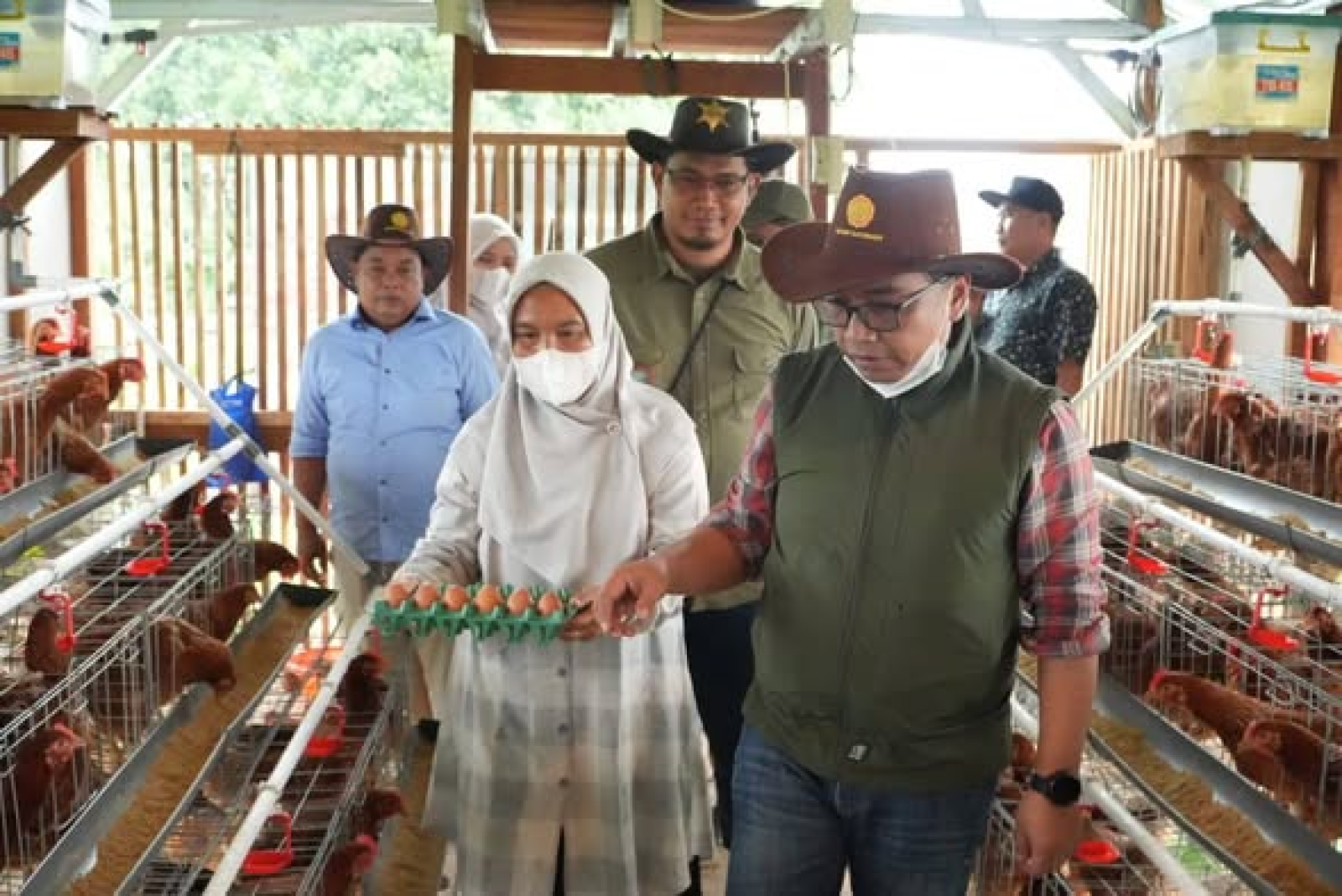 Program Ayam Merah Putih Kementan Makin Digemari, Kelompok Wanita Tani Srikandi Raup Untung Maksimal