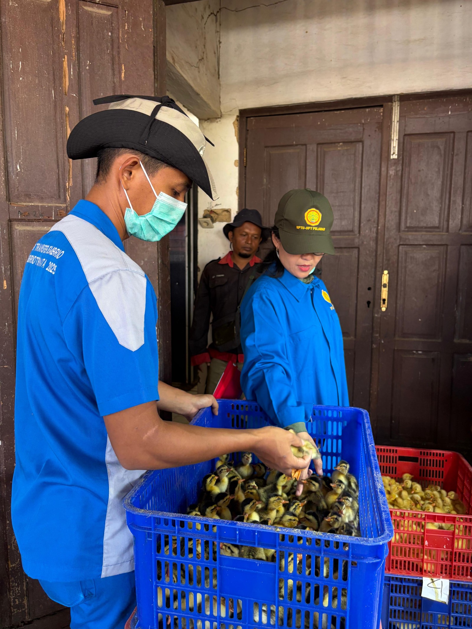 Kementan Perkuat Mutu Bibit Ternak, BPTU-HPT Pelaihari Raih Sertifikasi LSPro
