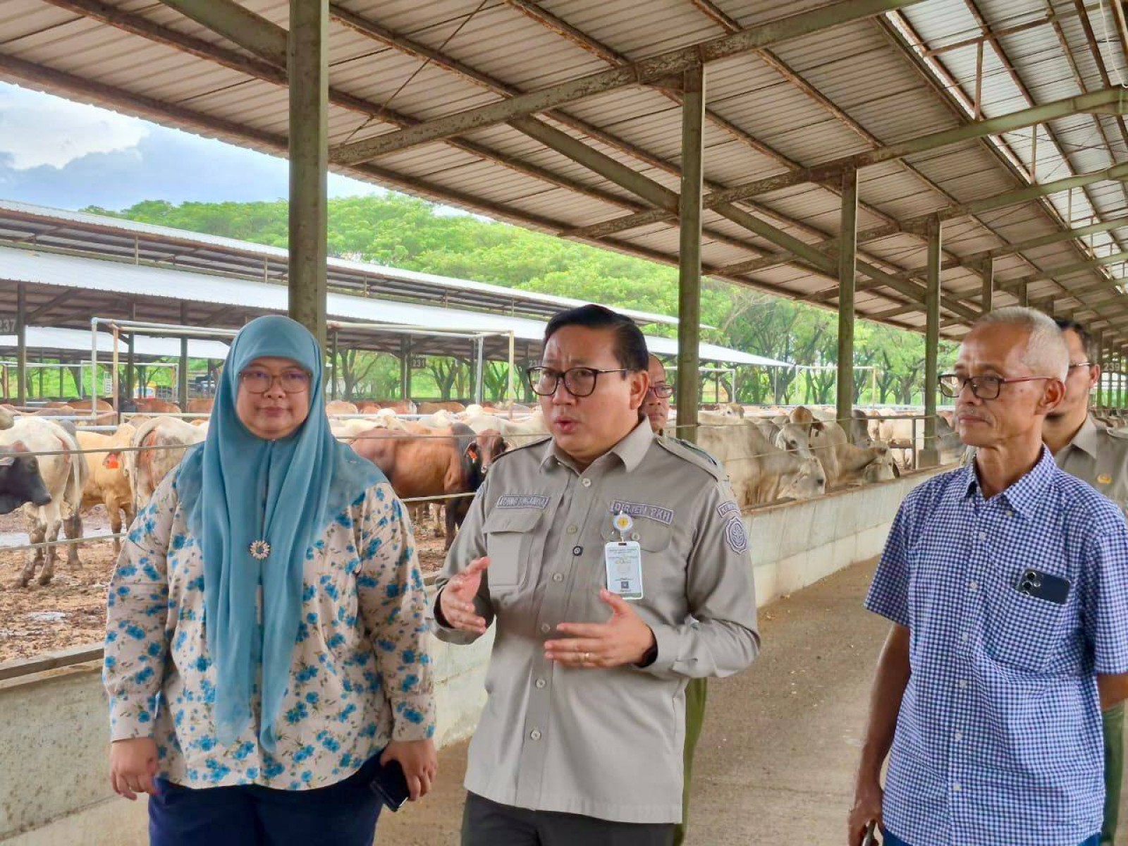 Harga Daging Sapi Aman Jelang Nataru, Kementan Tegaskan Jaga Harga dan Pasokan Pangan