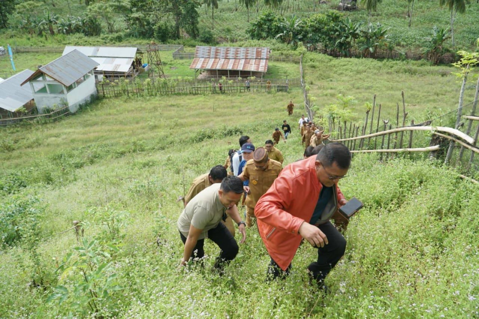 Gorontalo Kini Bersiap, Hilirisasi Ayam Terintegrasi Bakal Bikin Peternak Lebih Mandiri