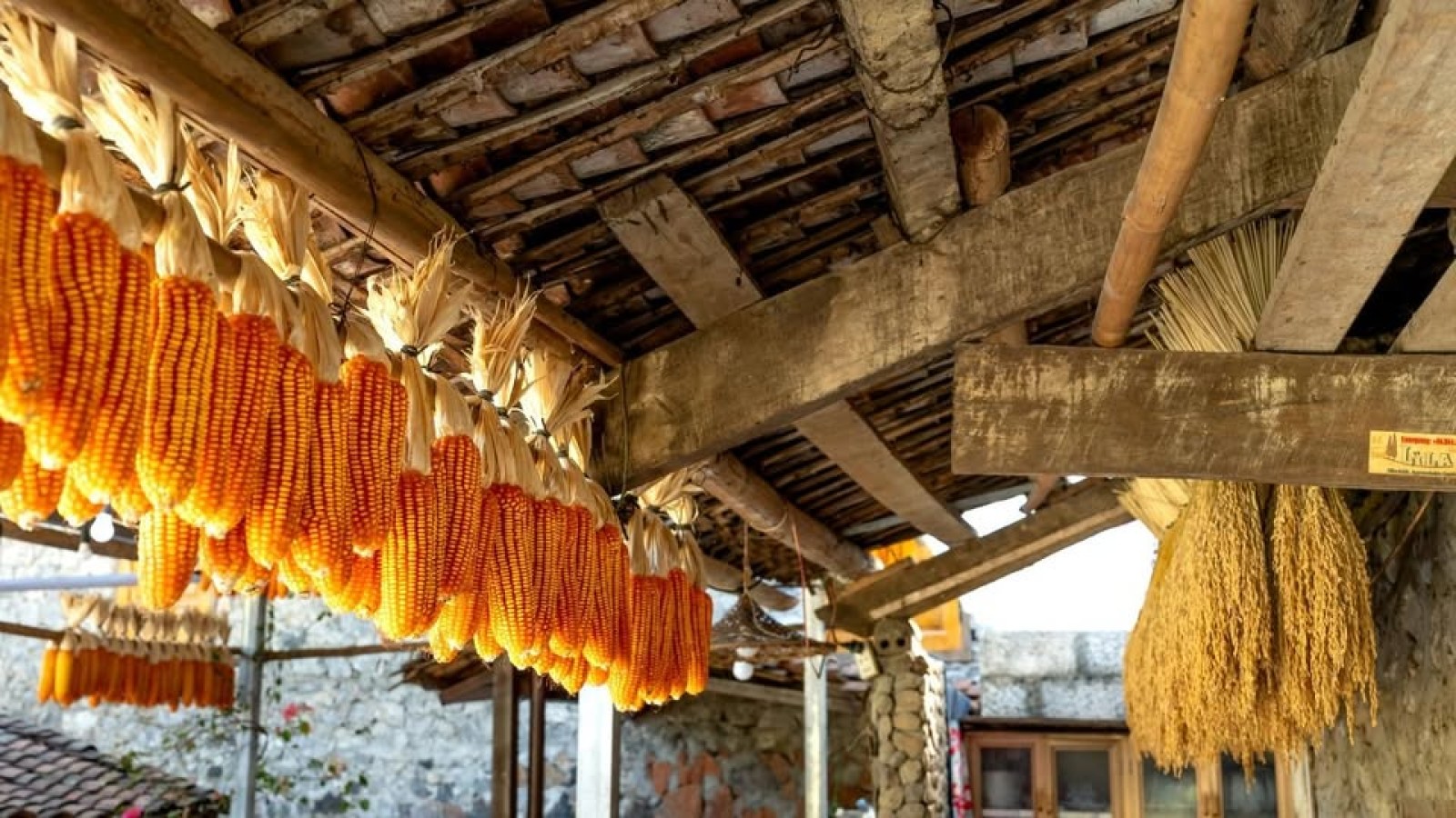 Kementan Perkuat Pengawasan Pakan Nasional, Amankan Pasokan Protein Hewani untuk MBG