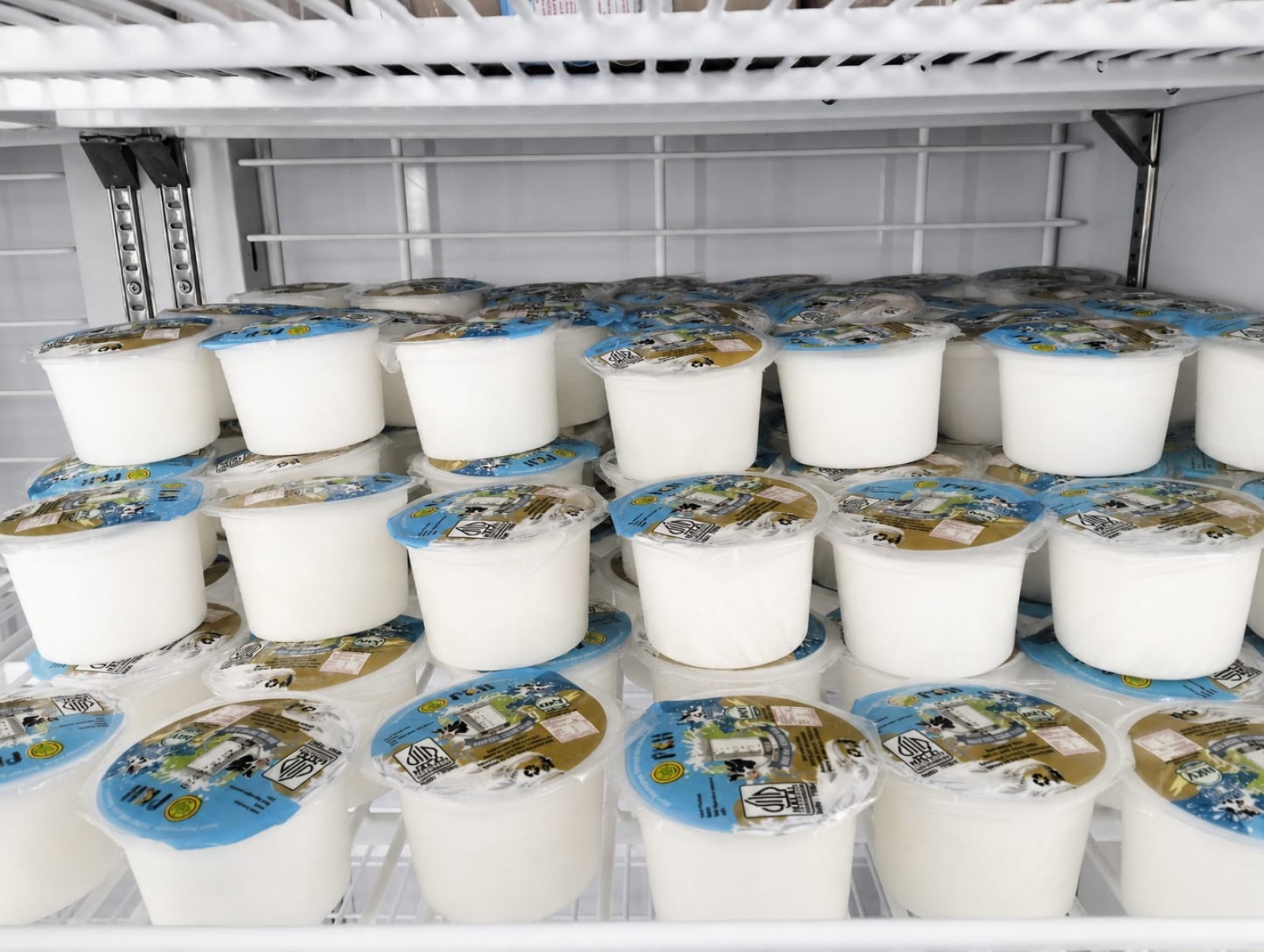 Kementan Perkuat Hilirisasi Susu, Baturraden Produksi 8.000 Liter Sehari untuk Dukung MBG