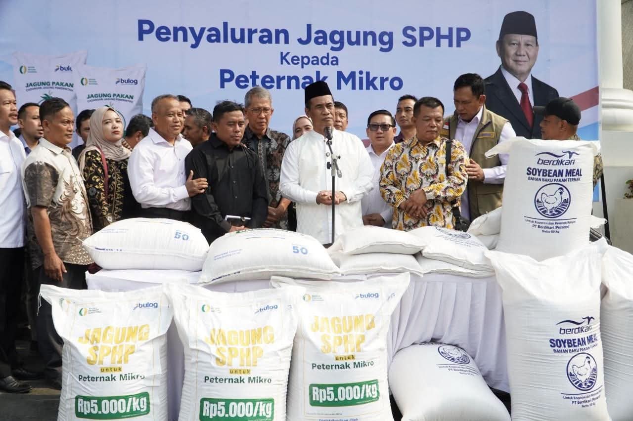 Pemerintah Jamin Serapan Jagung Petani