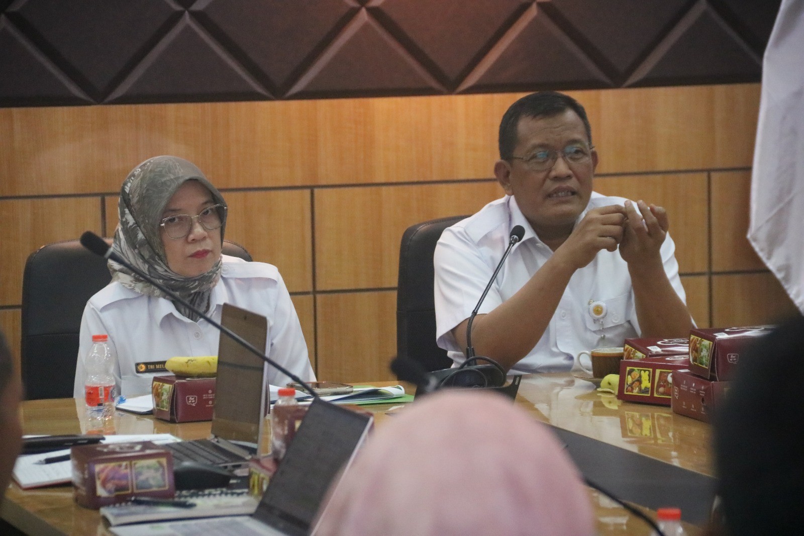 Kementan Dorong BUMN Manfaatkan Lahan Perkebunan untuk Dukung Pakan Sapi di Indramayu
