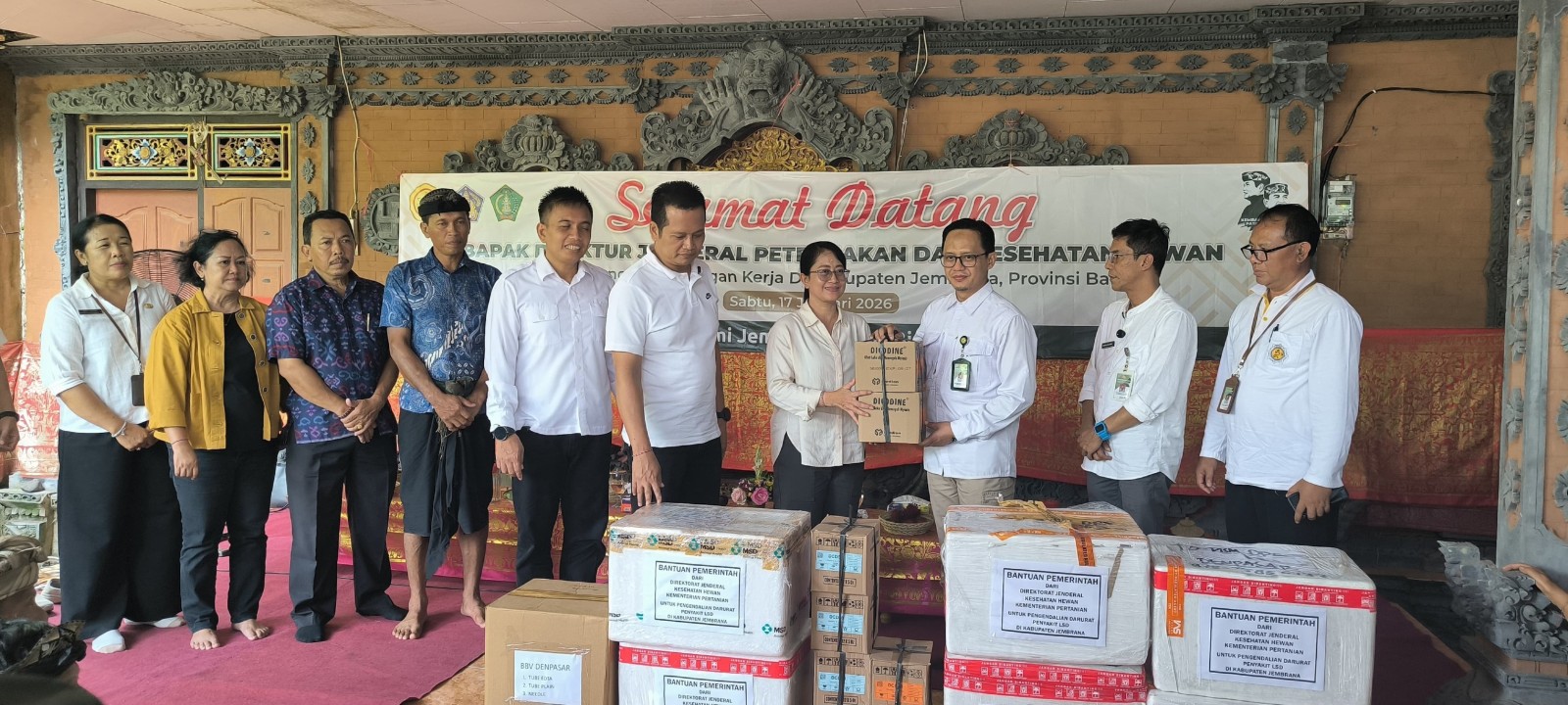 Kementan Salurkan Vaksin LSD ke Jembrana, Lindungi Usaha Peternak Sapi