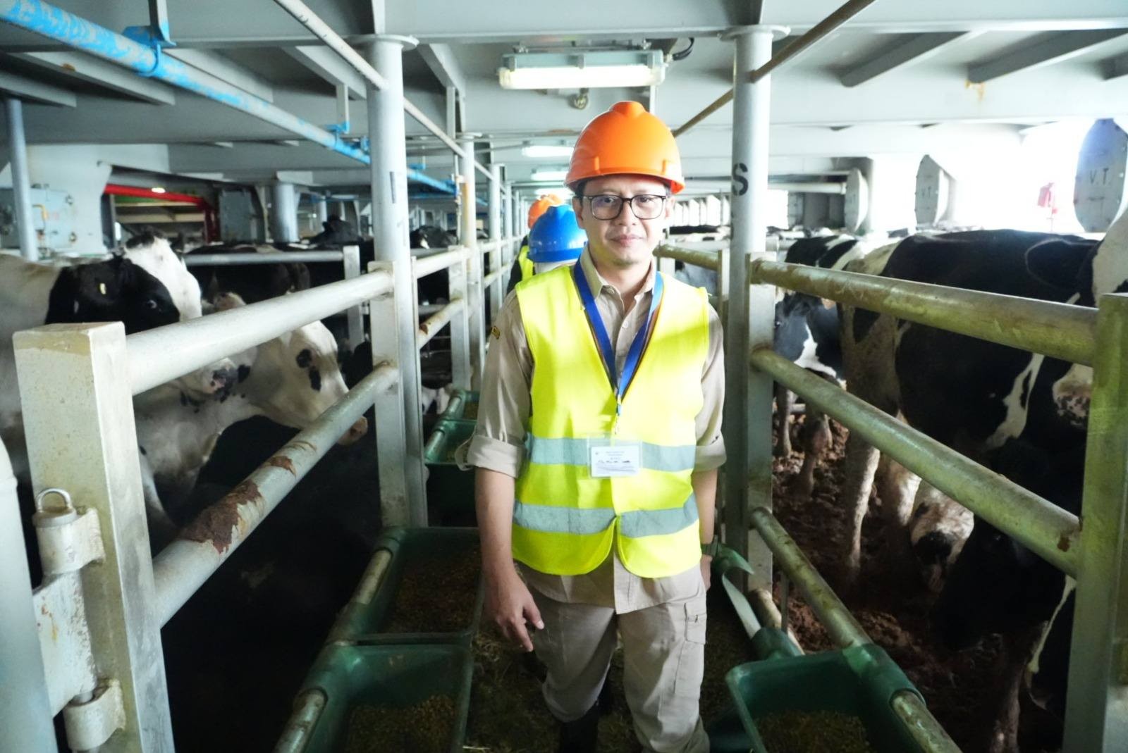 Investasi Sapi Bertambah, 1.383 Sapi Perah Tiba di Cilacap dan Dikelola Peternak Mitra