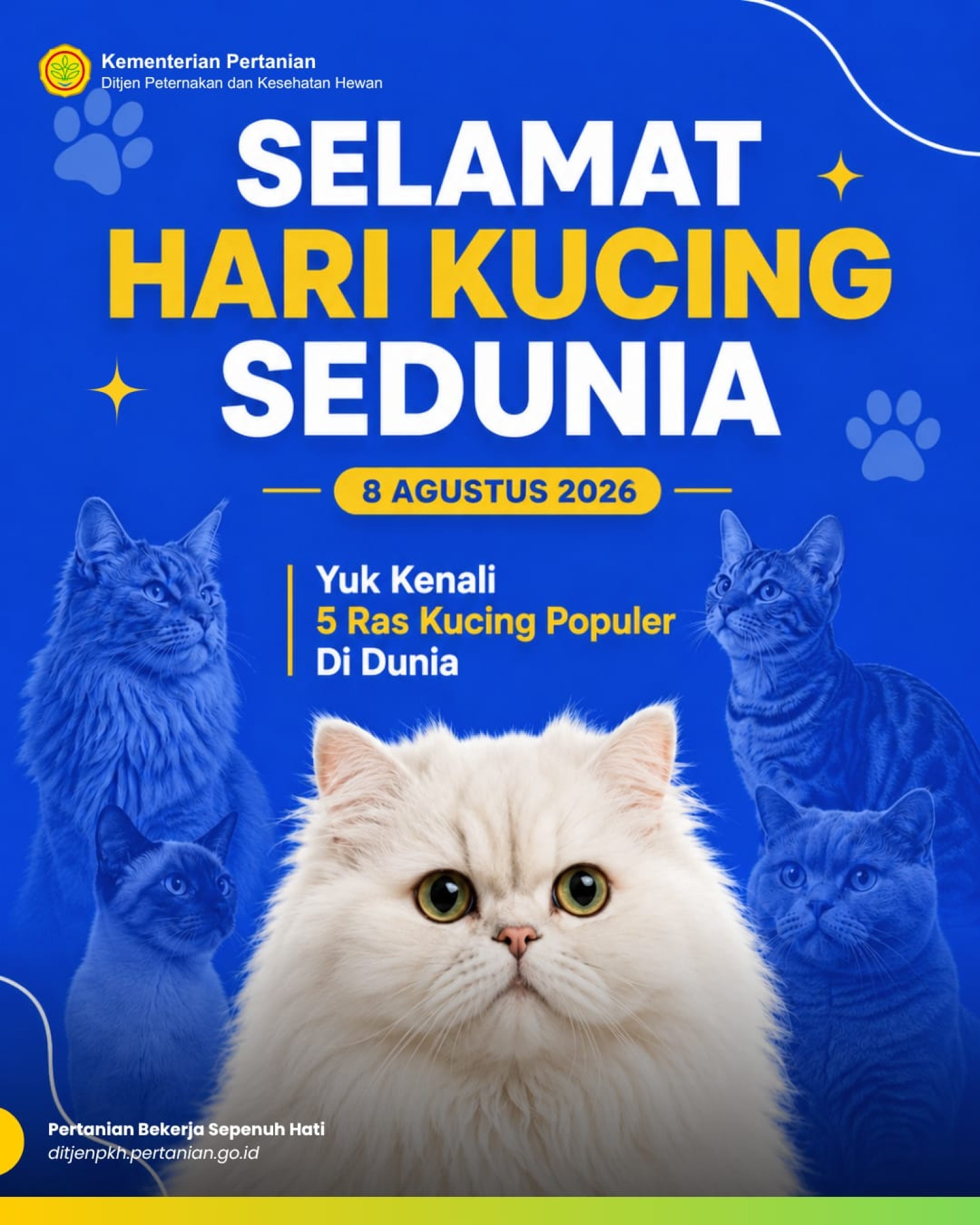 Hari Kucing Sedunia 8 Agustus 2026 di Jakarta