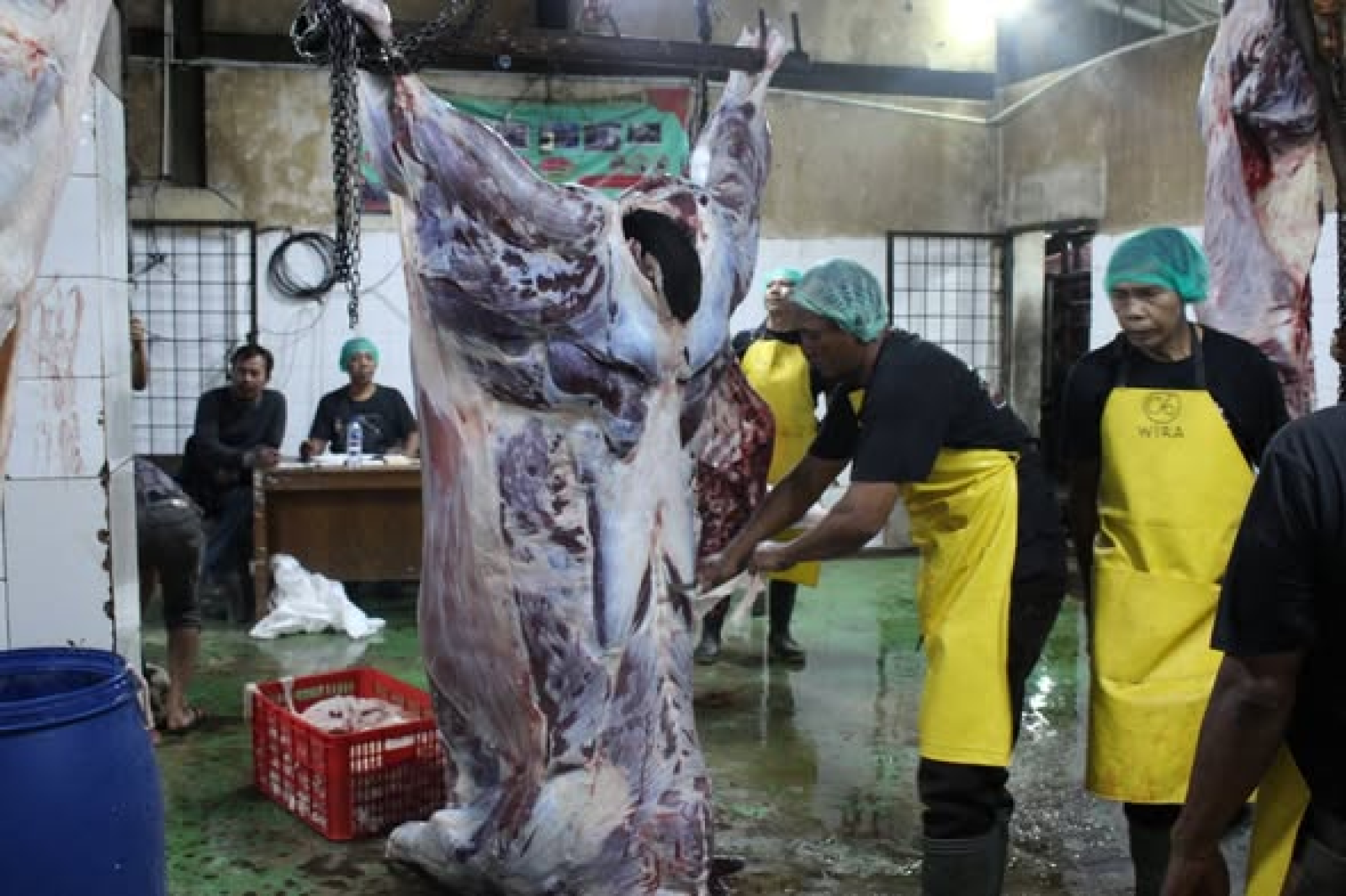 Giliran JAPPDI Umumkan Tidak Ada Lagi Mogok, Harga Sapi Feedlot Disepakati Rp55 Ribu