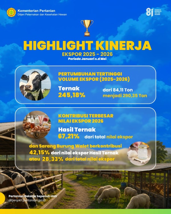 Infografis 3