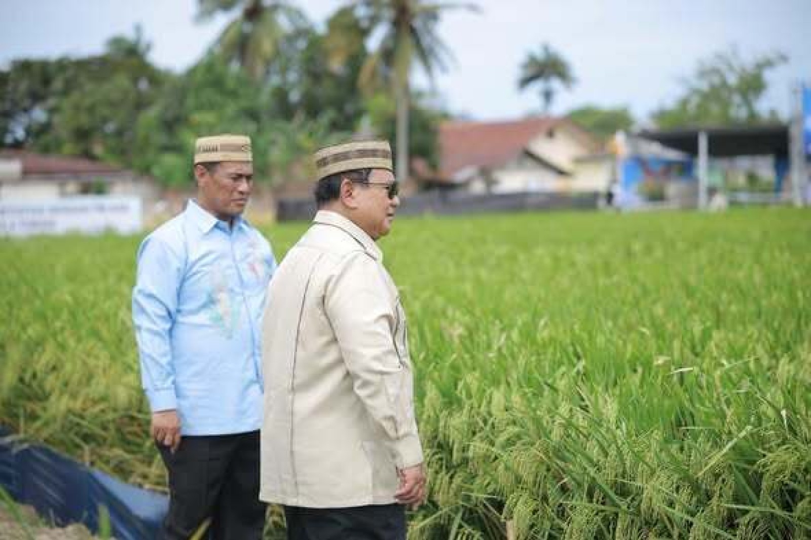 Di Hadapan 100 Ribu Petani dan Nelayan seluruh Indonesia di PENAS XVll, Presiden Prabowo Pastikan Swasembada Pangan Berkelanjutan