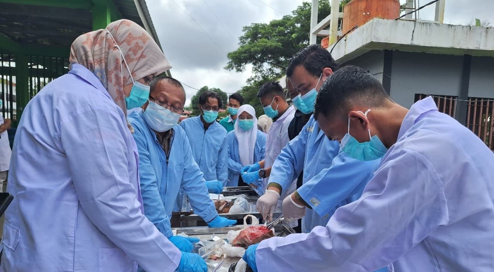 Kementan Perkuat Kemampuan Deteksi Dini, Masyarakat Kian Terlindungi dari Ancaman Rabies