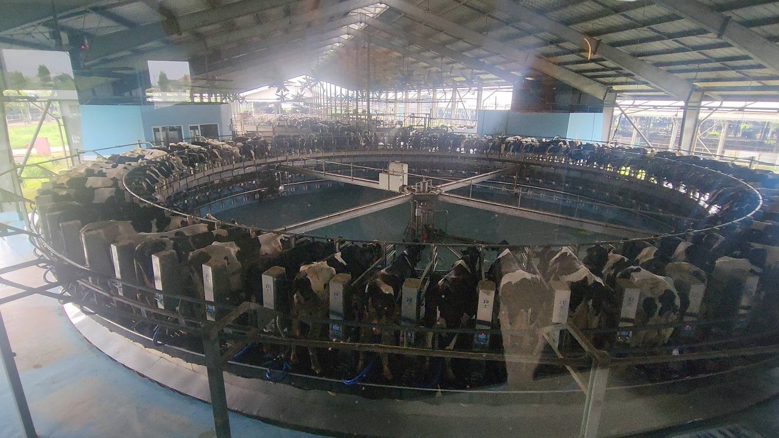 Kementan Dorong Rumah Ikonik sebagai Model Pemanfaatan Limbah Ternak di Subang