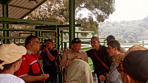 Kementan Dorong Kemitraan Swasta-Peternak, Tak Hanya Gemukkan Tapi Juga Kembangkan