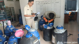 Pantau Pemanfaatan Semen Beku, BIB Lembang Lakukan Monev ke Jawa Timur