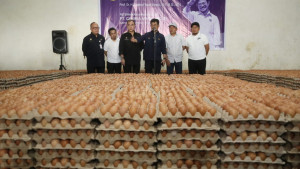 Pantau Ketersedian Telur di Sulsel, Mentan SYL Pastikan Kebutuhan Lebaran Aman