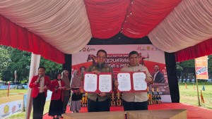 Kementan Gandeng UNHAS Kembangkan Inseminasi Buatan pada Kuda di Indonesia Timur