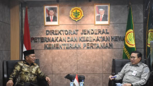 Kementan Ajak Mamasa Bangun Peternakan Berbasis Budaya dan Teknologi!