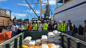 Kapal Pertama Jagung NTB Sandar di Surabaya, Kementan Dukung Distribusi Pakan Ternak Jadi Makin Efisien