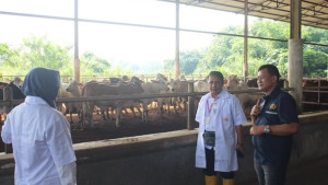 Kementan Perkuat Kolaborasi Teknologi Reproduksi Ternak dengan Industri Peternakan