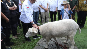 Mentan SYL Ajak Para Peternakan di Kabupaten Bogor Penuhi Kebutuhan Daging Lokal