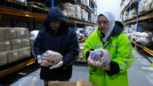 Daging Domba Impor Rugikan Peternak, Kementan Sidak 13 Gudang Importir Daging