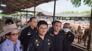 Pantau Ternak Sapi di Bekasi, Mentan SYL Pastikan Ketersediaan Jelang HBKN Aman