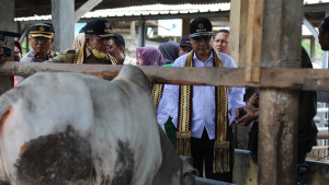 Wamentan Harvick Dorong Lampung Selatan Jadi Percontohan Koperasi dan Produksi Ternak Berkualitas