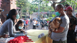 Upaya Kementan Kendalikan Penyakit Rabies di Indonesia