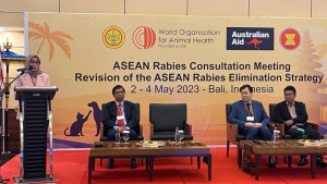Indonesia Pimpin ASEAN Rumuskan Strategi Eliminasi Rabies di Asia Tenggara