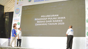 Kementan Menuju JAWARA, Jawa Bebas Rabies 2029