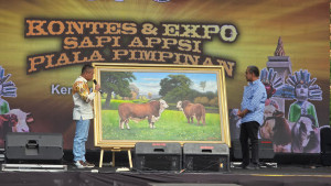 Kontes dan Expo Sapi, Momentum Kebangkitan Peternak Indonesia