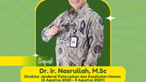 Terima Kasih Bapak Nasrullah